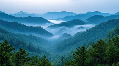 Asheville Regional Airport